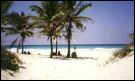 Havana beach view.